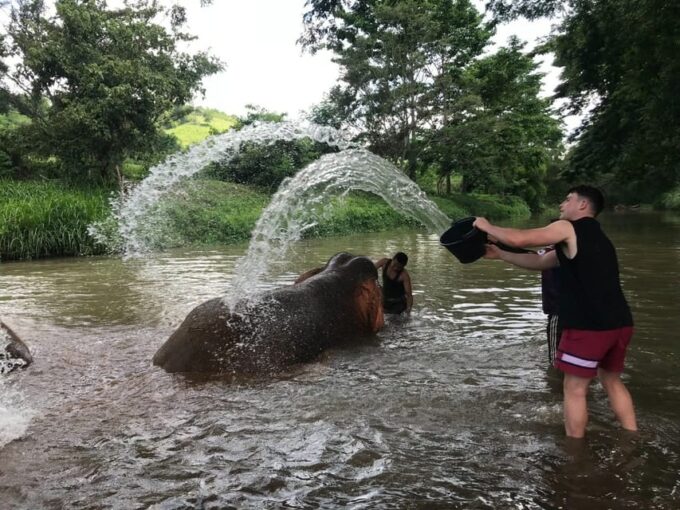 Chiang Mai: Top Rated Elephant Afternoon Tour (Starts 12PM) - Breathtaking Natural Settings