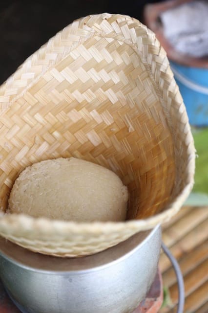 Chiang Mai: Traditional Northern Farm Cooking Class - Showcasing the Regions Rich Heritage