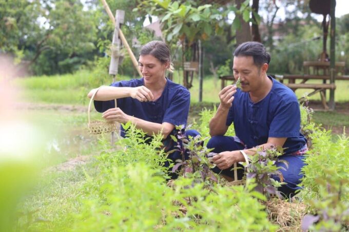 Chiang Mai: Traditional Northern Farm Cooking Class - Frequently Asked Questions
