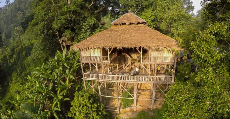 Chiang Mai: Tree House Stay & Jungle Zip-Lining - Key Points