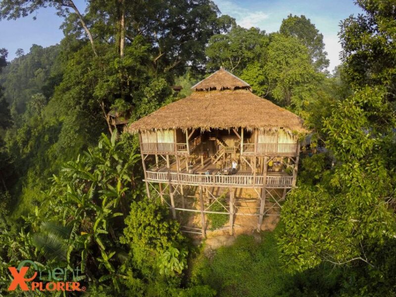 Chiang Mai: Tree House Stay & Jungle Zip-Lining - Overnight Stay at Tree House