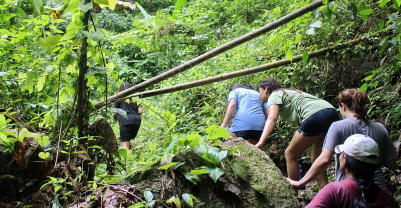 Chiang Mai : Trekking + Elephant Care - Key Points