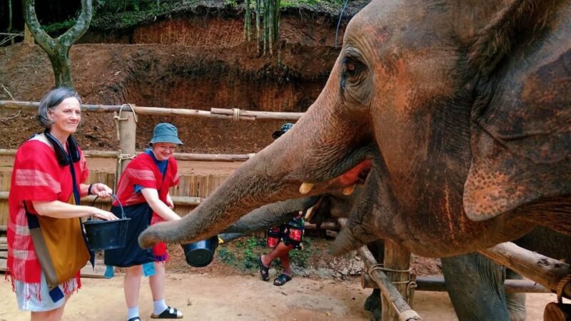Chiang Mai : Trekking + Elephant Care - Included in the Tour