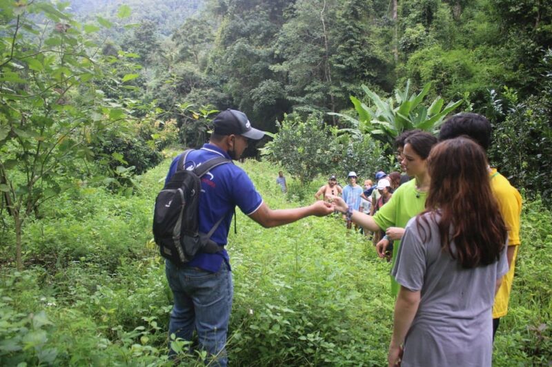 Chiang Mai : Trekking + Elephant Care - Who the Tour Is Not Suitable for