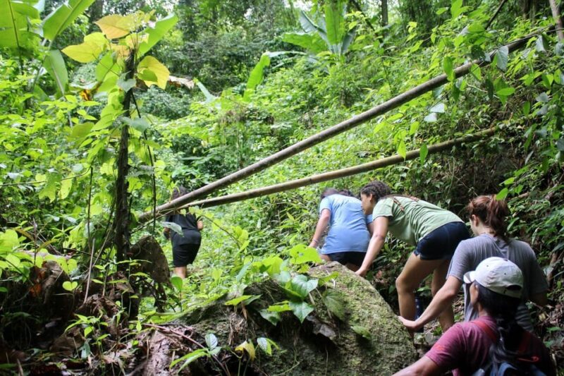 Chiang Mai : Trekking + Elephant Care - What to Bring
