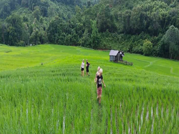 Chiang Mai Trekking (Non-touristic Trail) - Sustainable and Responsible Tourism