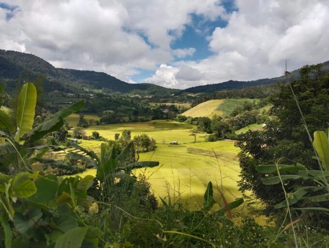 Chiang Mai Trekking (Non-touristic Trail) - Frequently Asked Questions