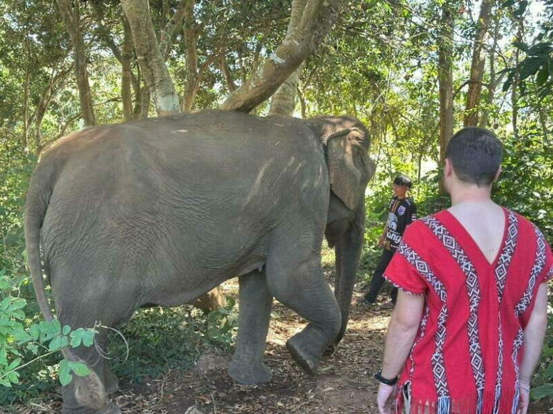 Chiang Mai Untouched Elephant: Nature Walk & Waterfall Trek - The Waterfall Trek and River Bath