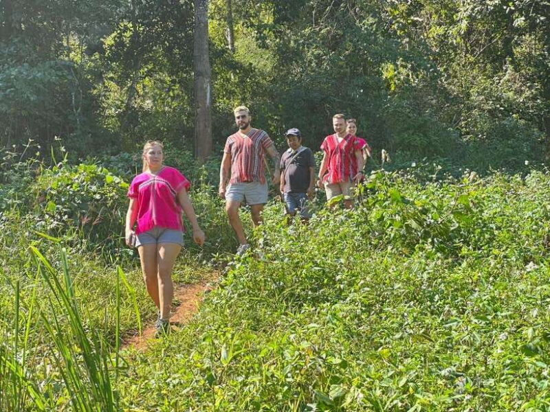 Chiang Mai Untouched Elephant: Nature Walk & Waterfall Trek - Fitness and Dietary Considerations