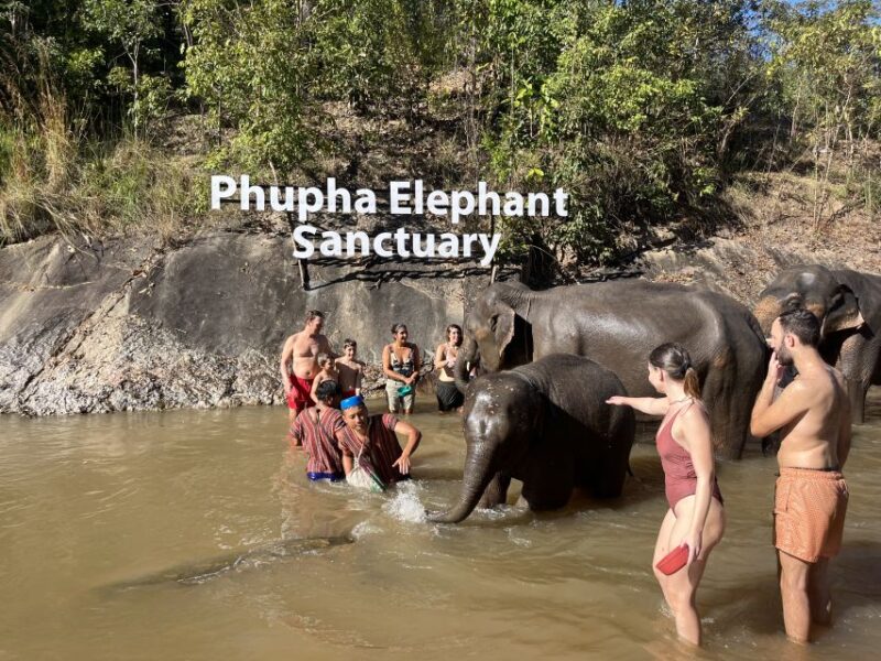 Chiang Mai: Waterfall, Elephant Sanctuary, and Rafting Tour - Inclusion and Exclusions