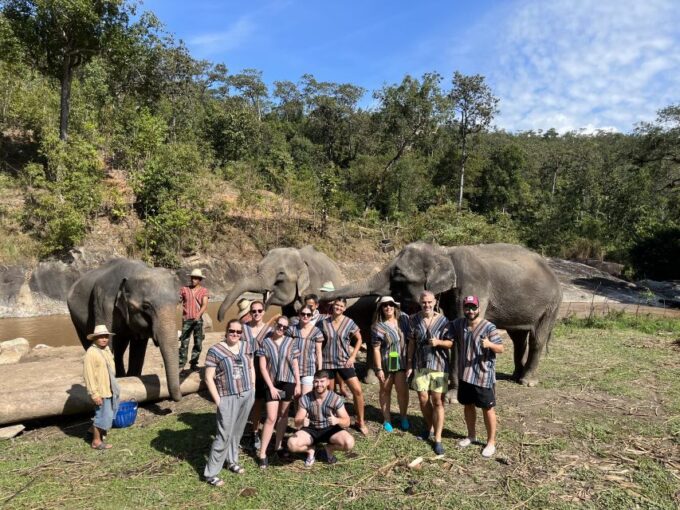 Chiang Mai: Waterfall, Elephant Sanctuary, and Rafting Tour - Customer Reviews Summary