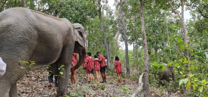 Chiang Mai: Waterfall, Elephant Sanctuary, and Rafting Tour - Scenic Drive and Waterfalls