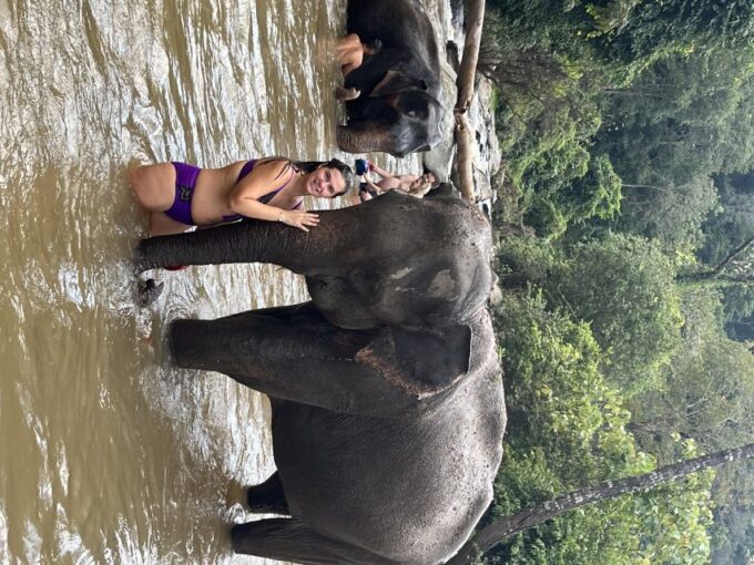 Chiang Mai: Waterfall, Elephant Sanctuary, and Rafting Tour - Frequently Asked Questions
