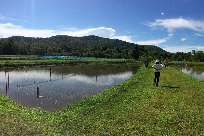 Chiang Mai Weaving Experience Review - Recap