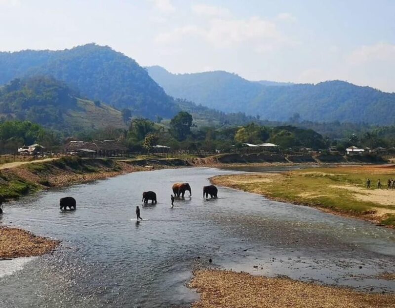 Chiang Mai White Water Rafting & ATV Adventure - Inclusions
