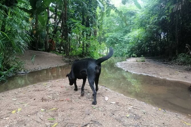 Chiang Mai Wonderful Day Trip-A Small Group Tour - Exploring Natural Wonders