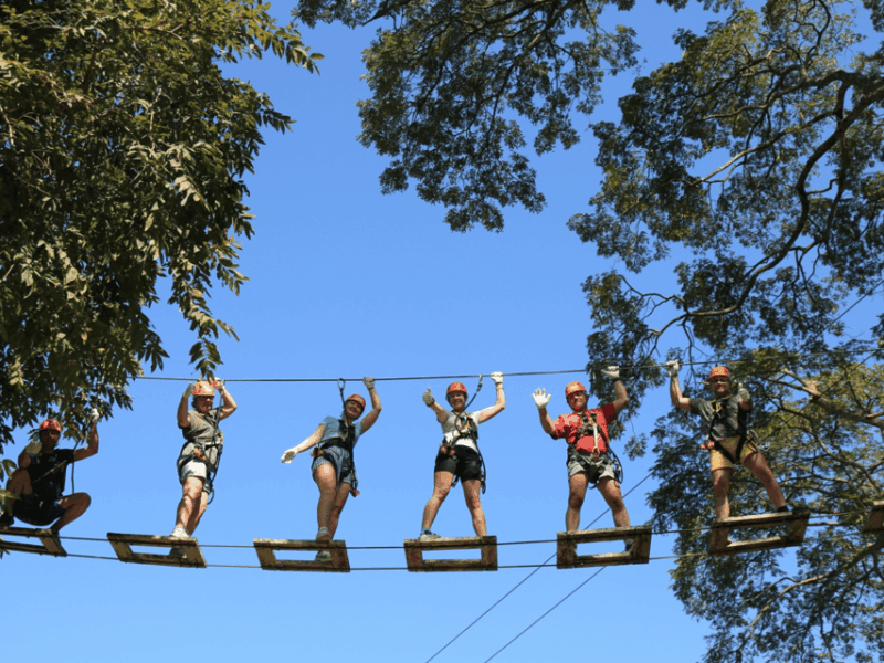 Chiang Mai: Zipline Adventure With Lunch & City Hotel Pickup - Zipline Experience