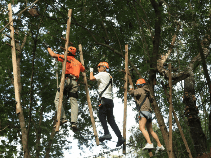 Chiang Mai: Zipline Adventure With Lunch & City Hotel Pickup - Convenient Transportation