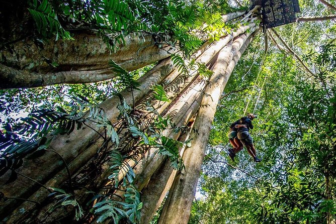 Chiang Mai Zipline White Water Rafting and Elephant Sanctuary - Positive Reviews