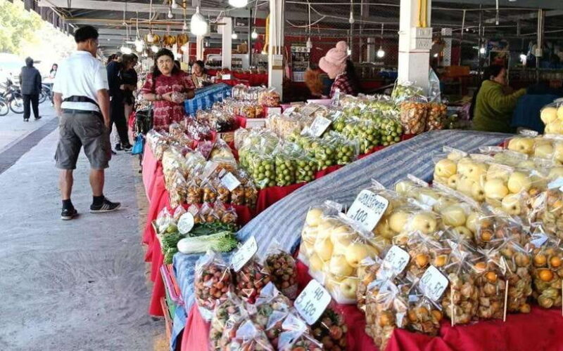 Chiang Mai:Doi Inthanon National Park & Hike at Kew Mae Pan - Hiking Details