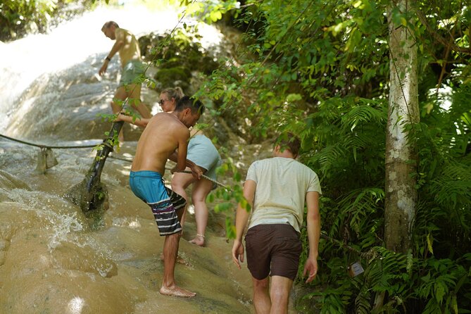 Chiang Mai:Sticky Waterfall Adventure and Bua Tong Huge Cave Tour - Highlights of the Adventure