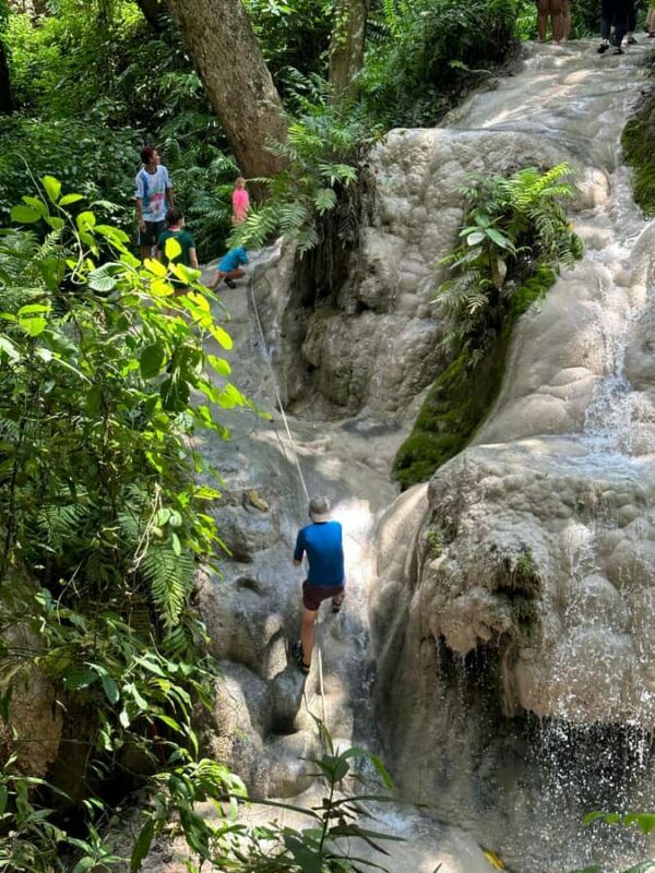 Chiang Mai:Sticky waterfall (Half Day) Hotel Transfer - Practical Details and Tips