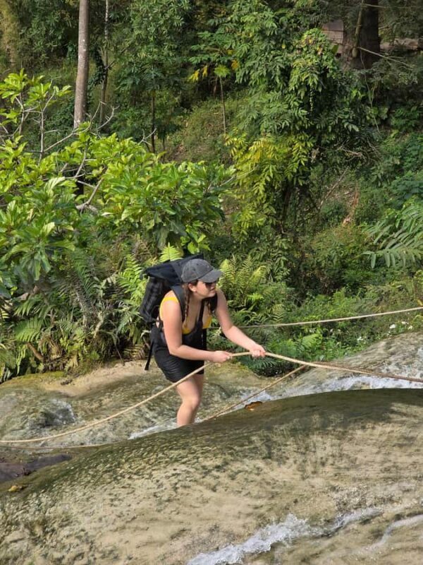 Chiang Mai:Sticky waterfall (Half Day) Hotel Transfer - The Sum Up: Is This Tour Right for You?