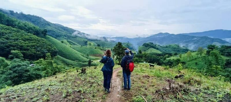 Chiang Rai: 1-Day Trekking and Longtail Boat Trip - Practical Aspects of the Tour