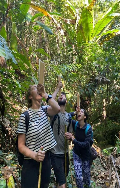 Chiang Rai: 1-Day Trekking and Longtail Boat Trip - What Travelers Say