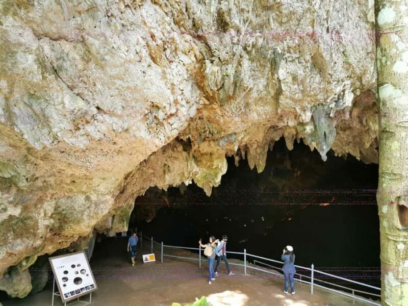 Chiang Rai: Cave, Mountain Views & Akha Coffee Experience - Who Should Consider This Tour?