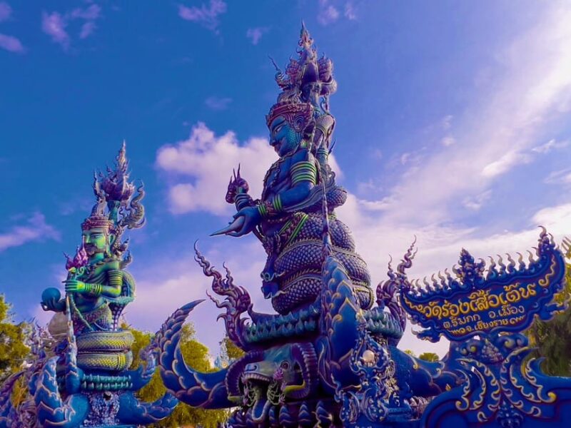Chiang Rai: Discover 7 Must-See Spots & Lunch Included - Visiting Choui Fong Tea Farm