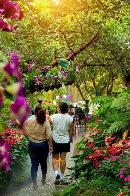 Chiang Rai: Excursion White, Blue,Red Temples & Lalitta Café - Who Will Love This Tour?