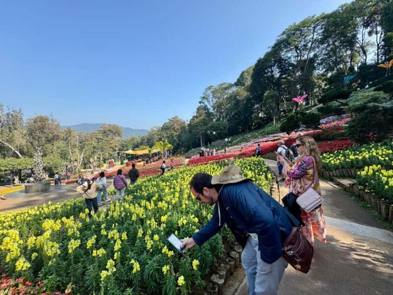 Chiang Rai: Explore Mountain & Border Routes - Private Tour - The Sum Up