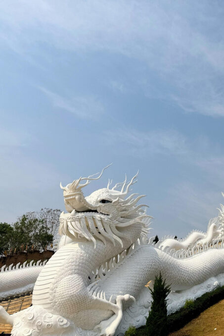 Chiang Rai: Famous Temples & Lalita Cafe' | Private Tour - Pickup and Drop-off