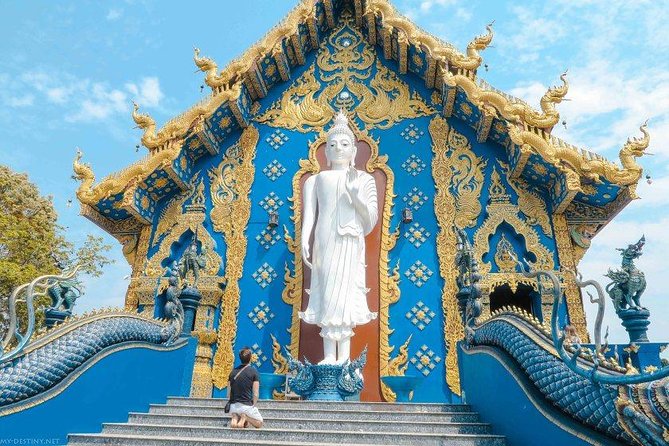 Chiang Rai Food & Night Market Walking Tour With Local Host - Explore Local Cuisine