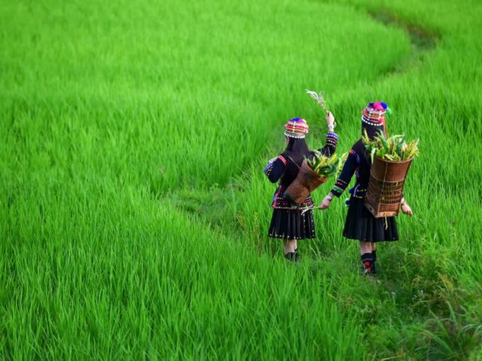 Chiang Rai: Full-Day Customizable Private Tour - Ensuring an Enjoyable Experience