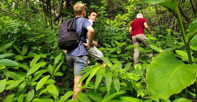 Chiang Rai: Jungle Adventure-Group Trekking & Bamboo Cooking - Key Points