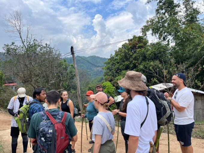 Chiang Rai: Jungle Adventure-Group Trekking & Bamboo Cooking - Pricing and Availability