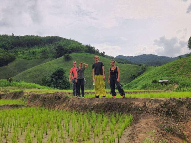 Chiang Rai Jungle Trek & Bamboo Tube Cooking Adventure - Itinerary and Activities