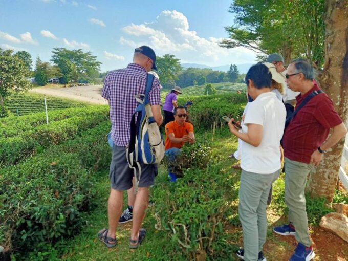 Chiang Rai: Popular Sightseeing Tour 7 Places , Buffet Lunch - Recap