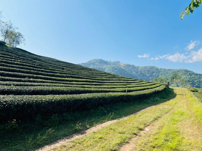 Chiang Rai: Private Bespoke Sightseeing Tour - Included Services and Amenities