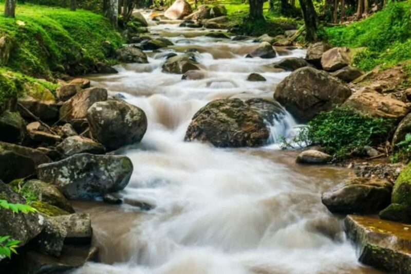Chiang Rai: Private Customized Tour5 Places of Your Choice - Who Is This Tour Best For?