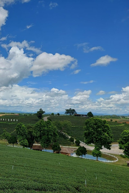 Chiang Rai: Temple Treasures & Popular Sightseeings (Buffet) - Long Neck Karen Village Experience