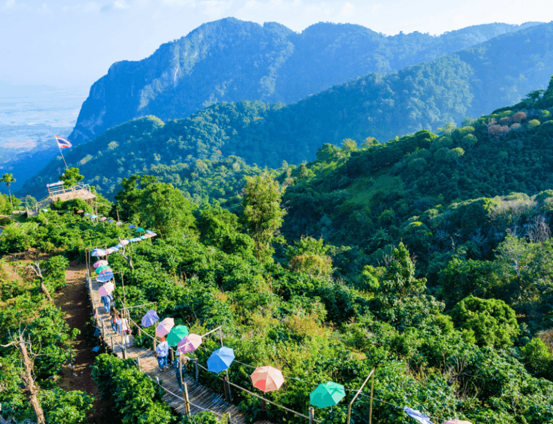Chiang Rai: Temples, Waterfalls, Golden Triangle Guided Tour - Indulging in Doi Mae Salongs Tea Delights