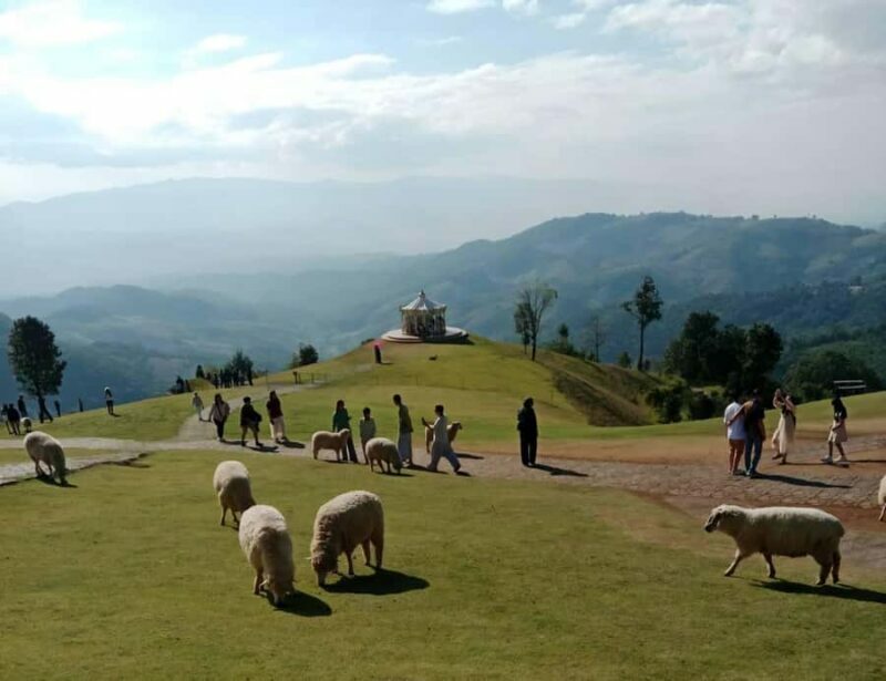 Chiang Rai to Chiang Mai: Private Scenic Transfer Tour - Who Should Consider This Tour?