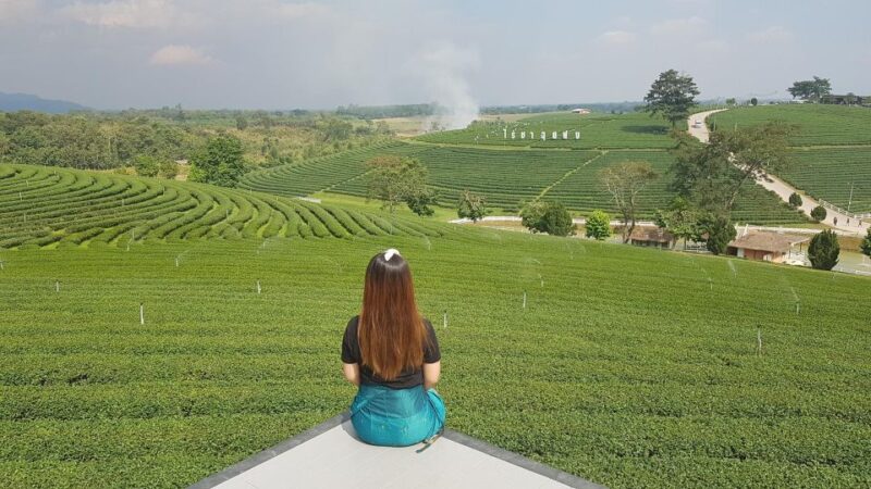 Chiang Rai:Guide With Lunch Full Day Highlight Tour - Key Points