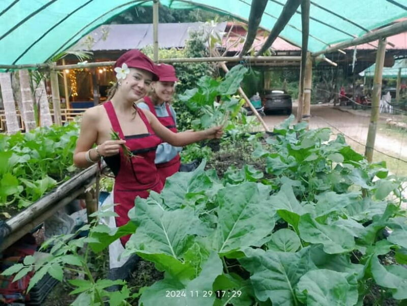 Chiang Rai:Lanna Home Cooking Class at Give Green Farm House - FAQ