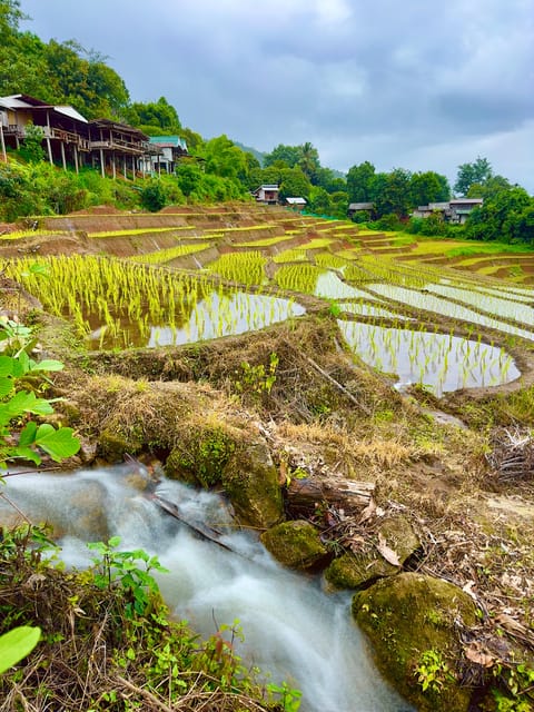 Chiangmai: Doi Inthanon Unseen Spot, Rice Terrace & Temple - Key Points