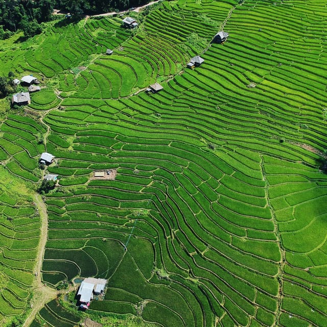 Chiangmai: Doi Inthanon Unseen Spot, Rice Terrace & Temple - Inclusions