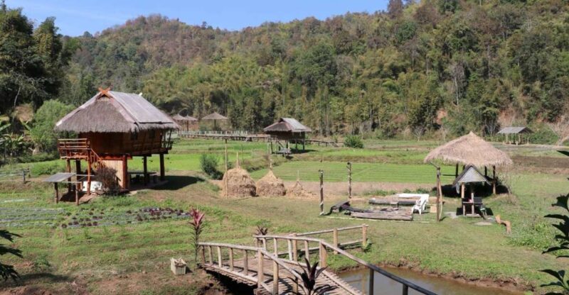 Chiangmai: Highlights Full-Day Tour With Private Driver - Inclusions